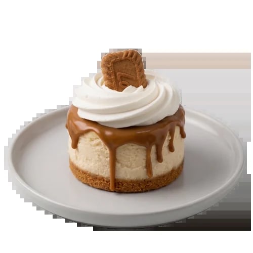 Gourmet cheesecake with caramel drizzle, whipped cream topping, and cookie crumble, served on a white plate