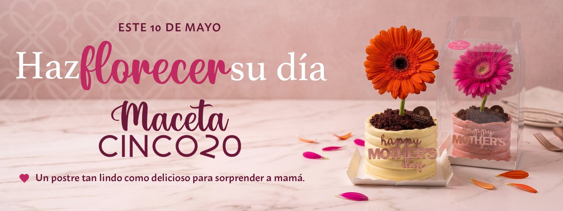 Mothers Day promotional banner with two potted gerbera flowers, text reading Hazflorecer su dia, Maceta CINCO20, and decorative hearts on a pink background