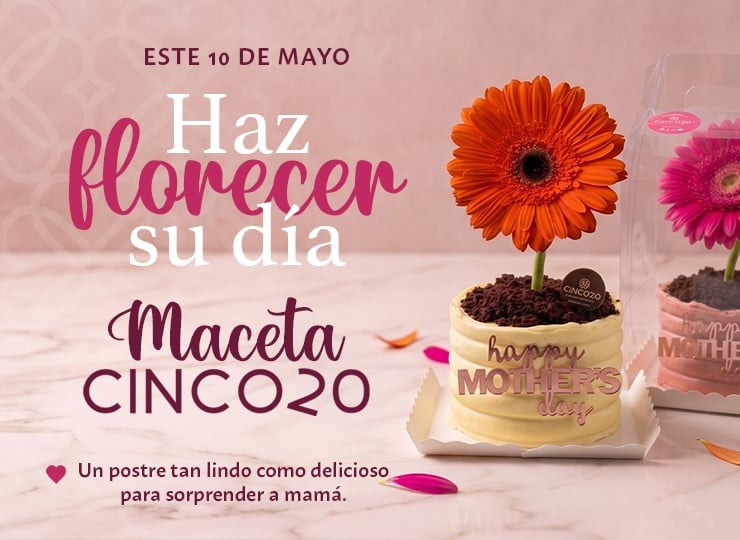 Mothers Day promotional poster in Spanish with potted gerbera flowers and text saying Make her day with Maceta Cinco20 offer